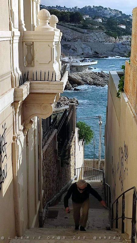 2022 12 MARSEILLE-ENDOUME DU PORT DE MALMOUSQUE A MALDORME (78).jpg